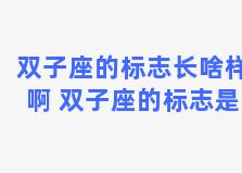 双子座的标志长啥样啊 双子座的标志是